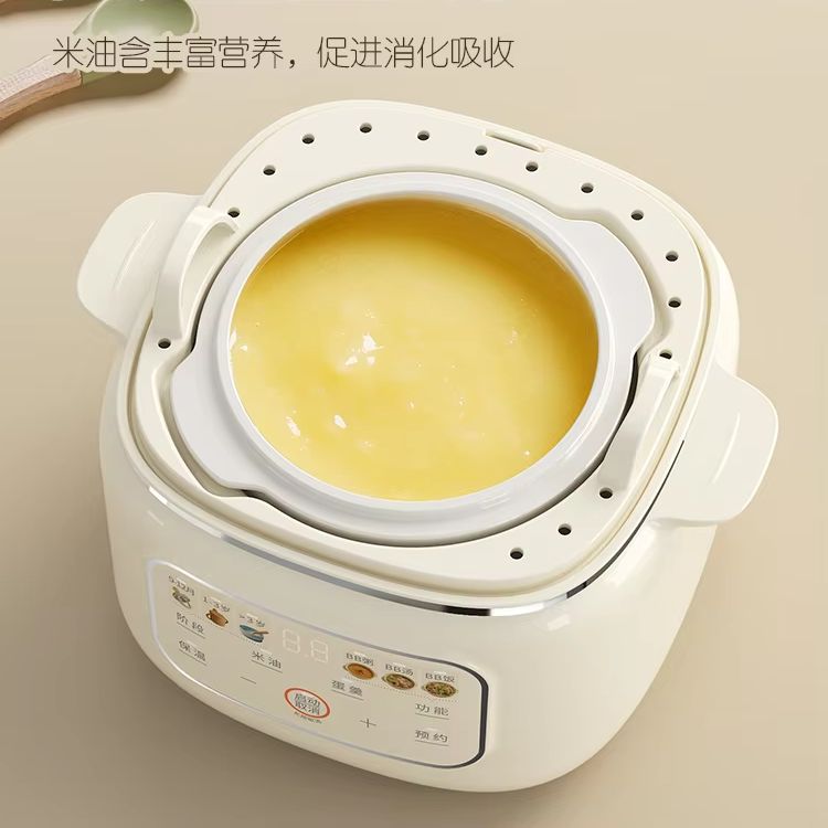 Pentola per stufato elettrica  - Baby Rice Food recensione e prezzo