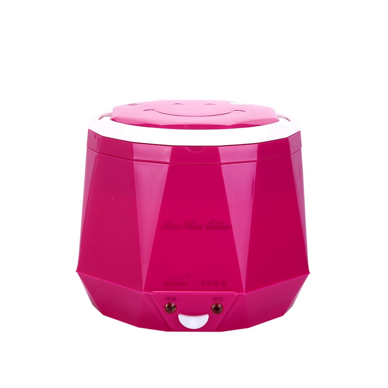 DC12V/DC24V/AC220V 100W POTENZ - Baby Rice Food recensione e prezzo