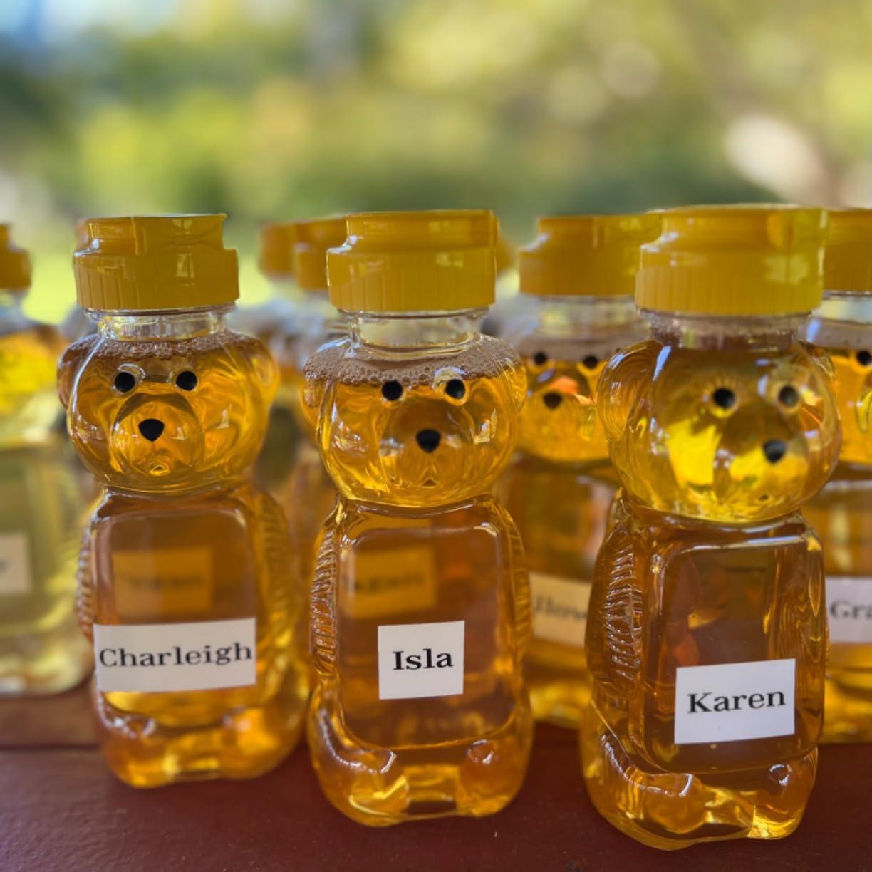 Barattoli di miele per orsi in - Baby Food Jar recensione e prezzo